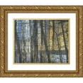 thumbnail image 1 of Haynes, Smith 24x20 Gold Ornate Wood Framed with Double Matting Museum Art Print Titled - Sunshine Through The Limbs 1, 1 of 4