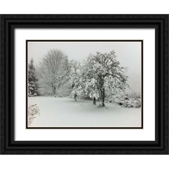 Haynes, Smith 32x25 Black Ornate Wood Framed with Double Matting Museum Art Print Titled - .
