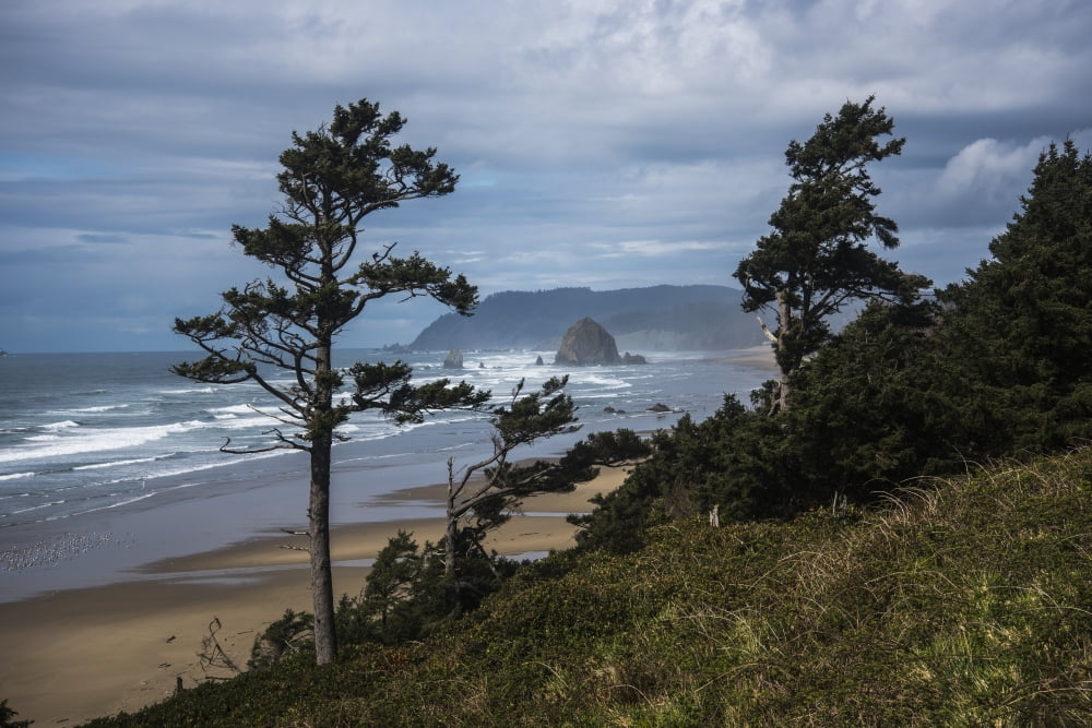 Haystack Rock and Tillamook Head coastal landmarks Tolovana Oregon United States of America Canvas Art - Robert L Potts Design Pics (19 x 12)