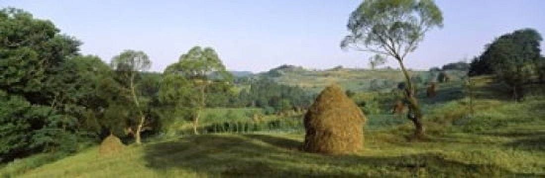 Haystack at the hillside Transylvania Romania Canvas Art - Panoramic Images (18 x 6)