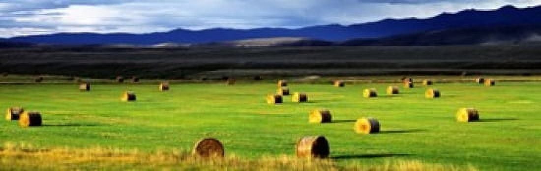 Haystacks Field Jackson County Colorado USA Canvas Art - Panoramic Images (18 x 6)