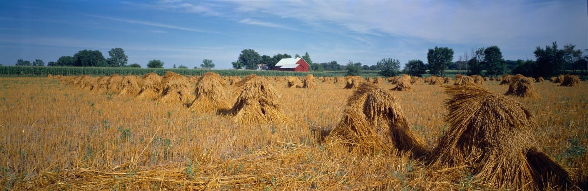 Haystacks in a farm Amish Country Indiana USA Canvas Art - Panoramic Images (27 x 9)