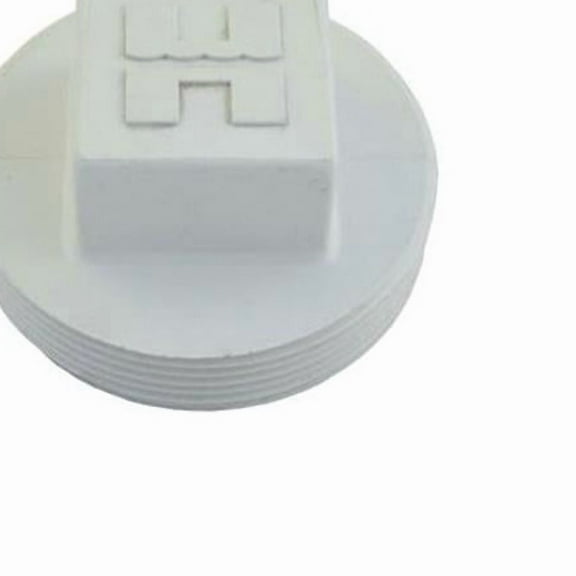 Hayward 2-Inch Plug 2 in.