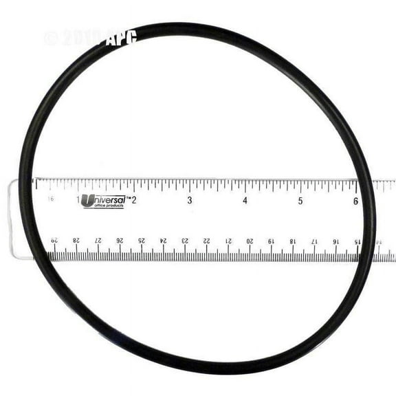 Hayward Leaf Canister O-Ring for W530 and W560 AXW542