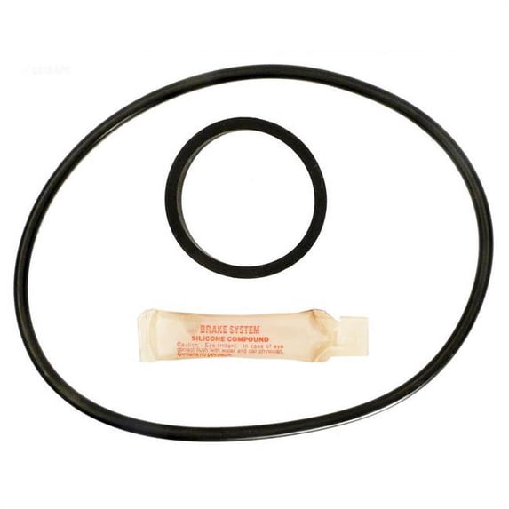 Hayward C120-225 O-Ring kit