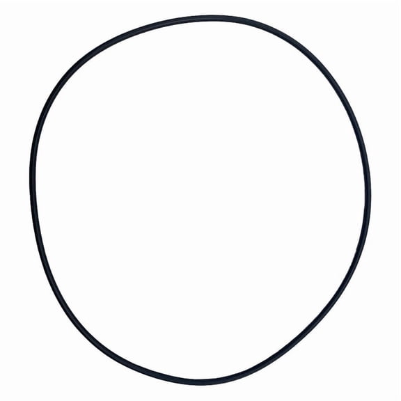 Hayward (CCX1000G) XStream Body Replacement O-Ring || O-542