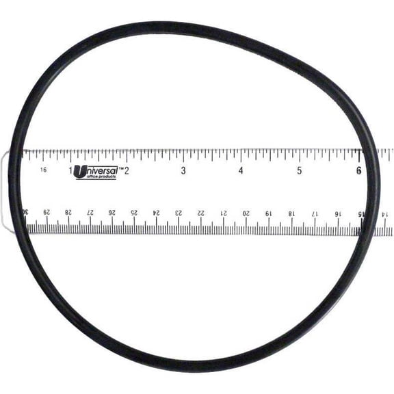 Hayward Micro-Star Clear Filter Tank O-Ring CX120D