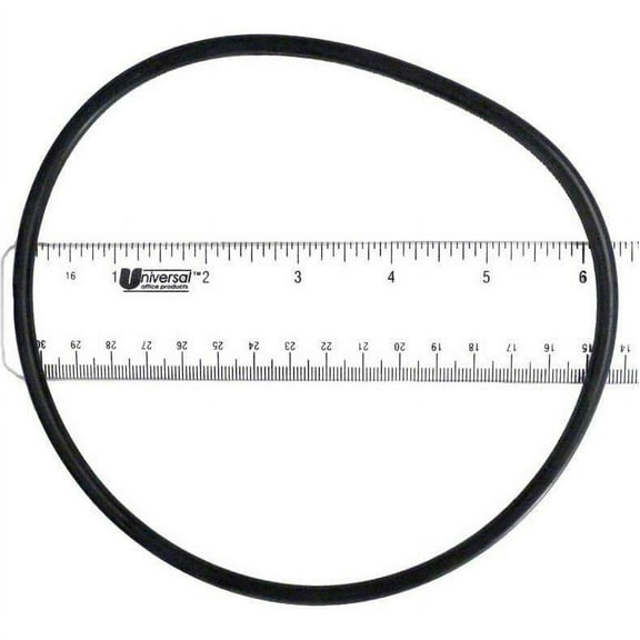Hayward Micro-Star Clear Filter Tank O-Ring CX120D