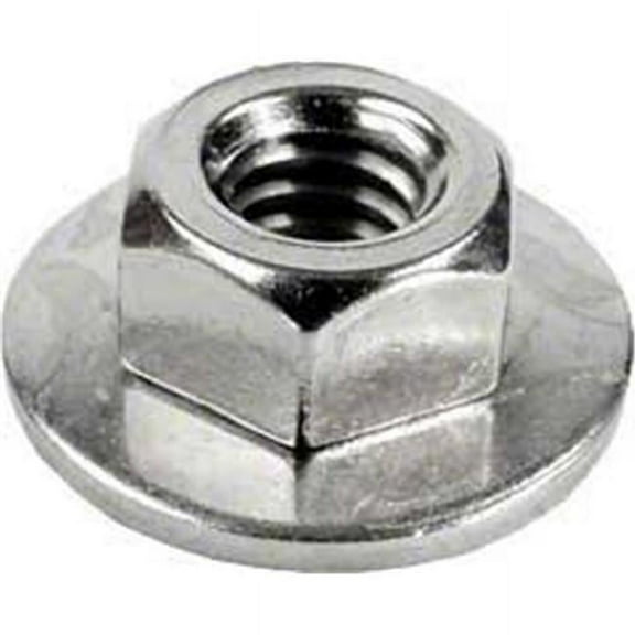 Hayward ECX1645 0.25-20 in. External Nut with Washer