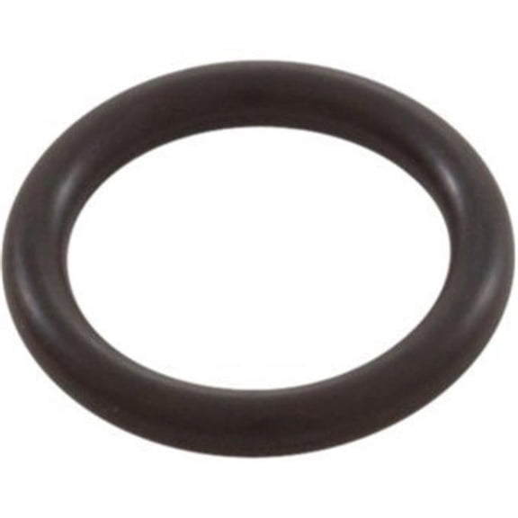 Hayward (ECX2899A) Small Replacement O-Ring || O-47