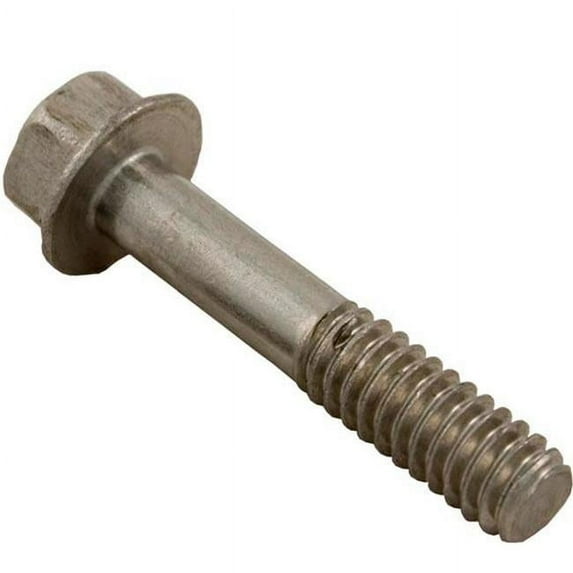 Hayward Filter Head Screw ECX10271