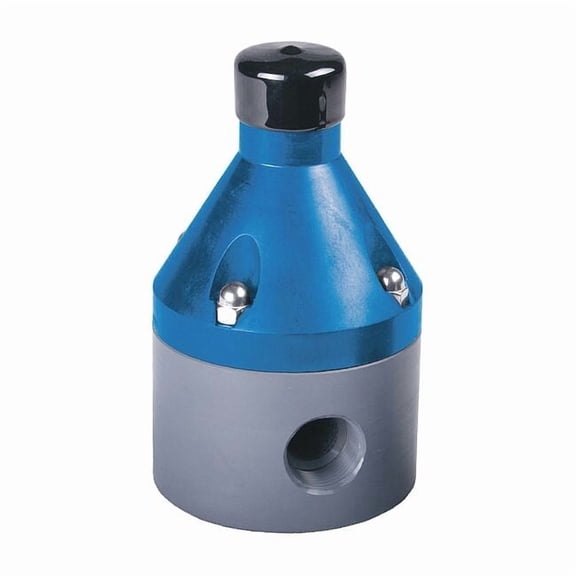 Hayward Flow Control Pressure Valve,1/2" Pipe,Polypropylene PBV3050TPE1