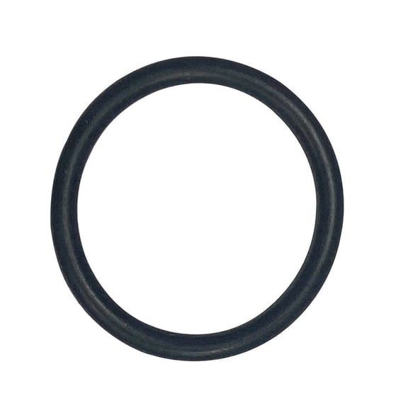 Hayward (GMX600D) PTFE Bearing Washer / O-Ring || O-188