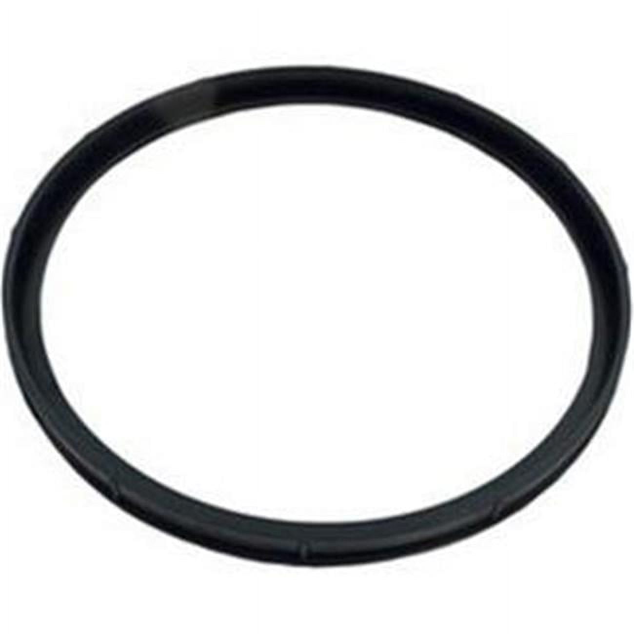 Hayward ORing Kit for SwimClear C2030, C3030, C4030, C5030, C7030