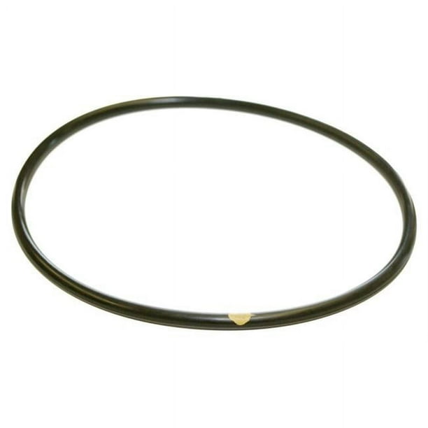 6 Pack) Hayward CLX200K Chlorinator O-Ring Lid For CL200/CL220 - Foto 5