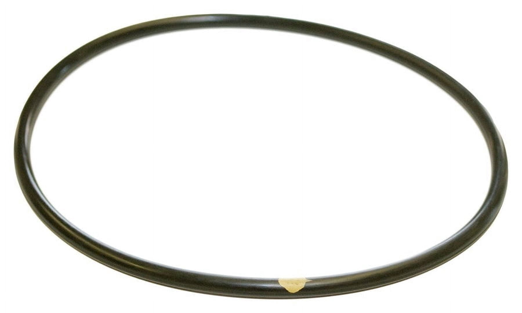 Hayward Chlorinator Dichtung O-Ring Set – 5,5 Zoll Durchmesser, 4 Oder 6 Stück, Für CL200, CL220, CLX200K Pool Chlorinator