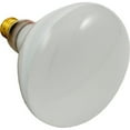 thumbnail image 1 of Hayward SPX0504Z7 500W 120V Medium Base Bulb for Underwater Lights, 1 of 1
