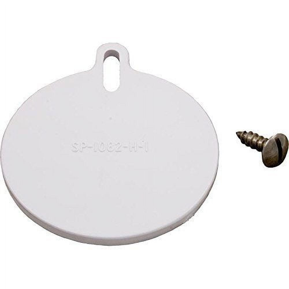 送料無料 日本 Hayward Walmart.com - Screw with Plate Slide SPX1082H1A Pools,HotTubs&Supplies