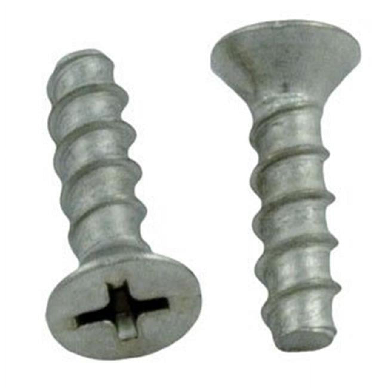 Hayward Rostschrauben Ersatz – 2 Stück, Für Einlassarmaturen & Filterventile, SP1425S U.a., 2,6 Kg