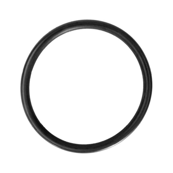 SX360Z1 Hayward Pro Series Bulkhead