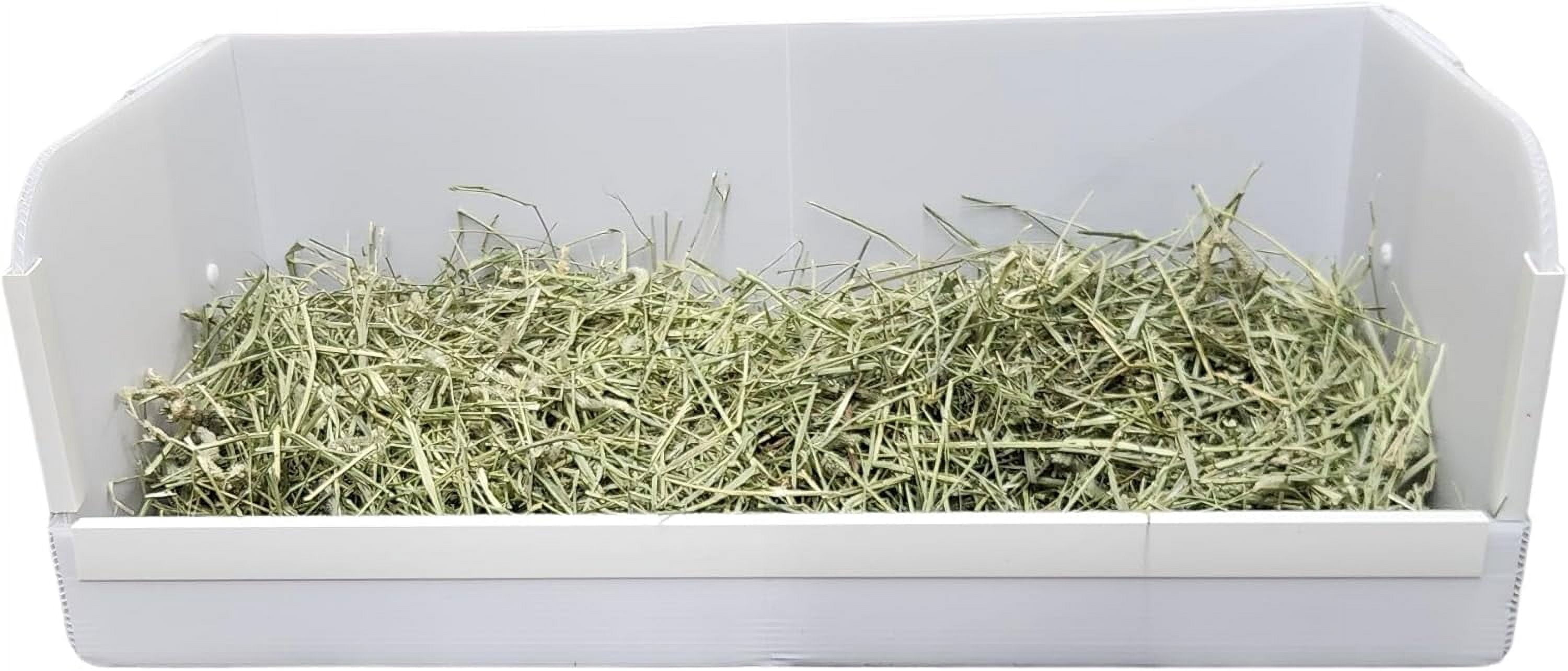Photo inspiration: Colloidal Silver Guinea Pig Litter Box Deodorizer Reference: Hayzee Solid Guinea Pig Litter Box Hay Holder