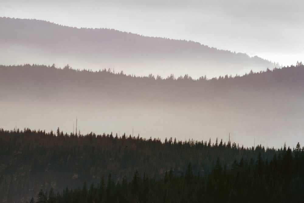 Haze Over Hills Oregon Canvas Art - Don Lowe  Design Pics (34 x 22)