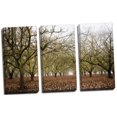thumbnail image 1 of Hazel Tree Grove; Stunning Bare Winter Trees Photograph; Three Hand-Stretched 10x20in Canvas, 1 of 1