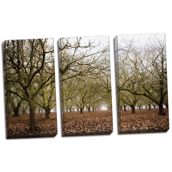 Hazel Tree Grove; Stunning Bare Winter Trees Photograph; Three Hand-Stretched 10x20in Canvas