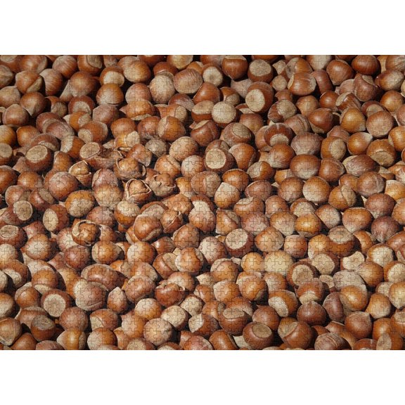 Hazelnuts Nuts Food Jigsaw Puzzles 1000 Pieces Entertainment Toys For Adult Special Graduation Or Birthday Gift Home Decor