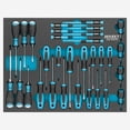 thumbnail image 1 of Hazet 163-524/31 Phillips/Slotted/Torx Screwdriver Set, 31 Pieces, 1 of 3
