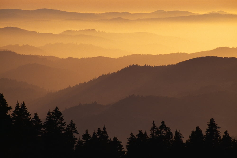 Hazy Ridges Of Trinity Alps At Sunset Canvas Art - Dan Sherwood Design Pics (18 x 12)
