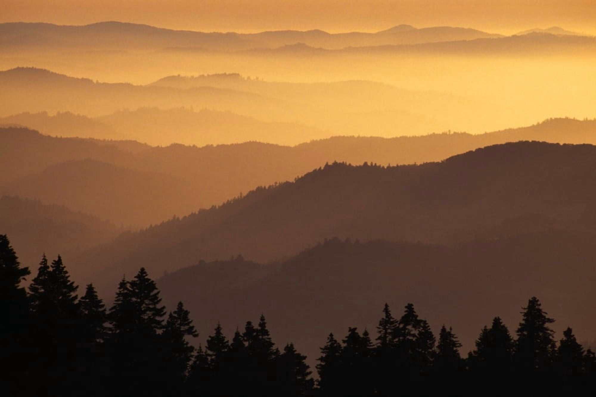 Hazy Ridges Of Trinity Alps At Sunset Canvas Art - Dan Sherwood Design Pics (36 x 24)
