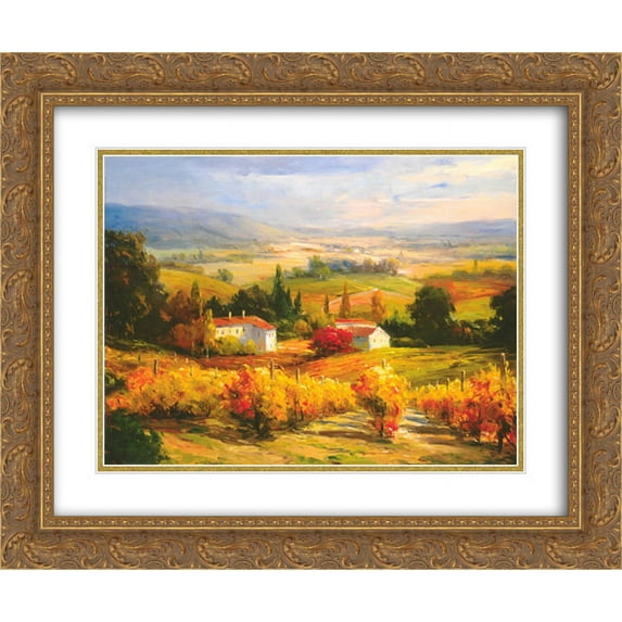 Hazy Tuscan Farm 2x Matted 14x12 Gold Ornate Framed Art Print by S. Hinus