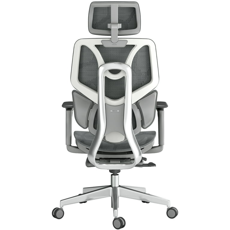 Hbada E3 Ergonomic Office Chair with Elastic Adaptive Lumbar Support, High Back Office Chair with High-Density Mesh, Backrest Height Adjustable Desk