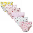 thumbnail image 1 of Hbhpov Little Girls Briefs Kids Cute Cotton Undies, 6 Pack, Sizes 2-8 T, 1 of 6