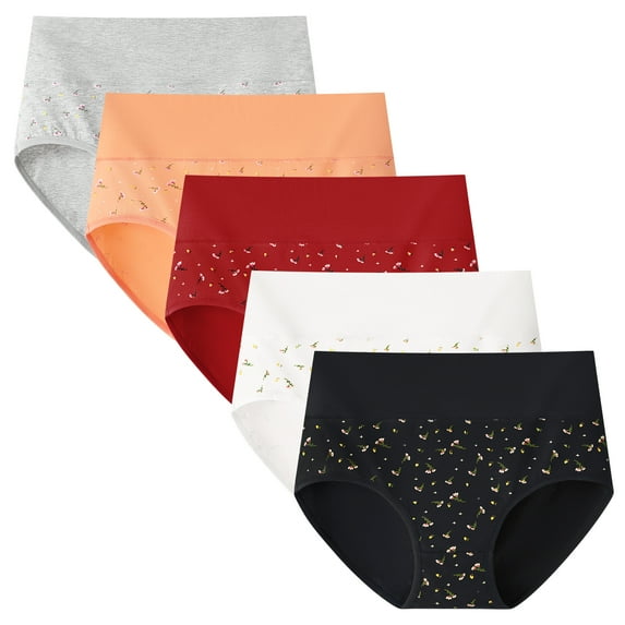 Hbhpov Womens Cotton Underwear High Waist Briefs Tummy Control Stretch Panties Underpants,5-Pack,Sizes S-XXL