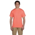 thumbnail image 1 of Fruit of the Loom 3931 HD Cotton 100% Cotton T-Shirt, RETRO HTH CORAL, S, Pack Of 2, Fruit of the Loom Mens T-Shirts, 1 of 1