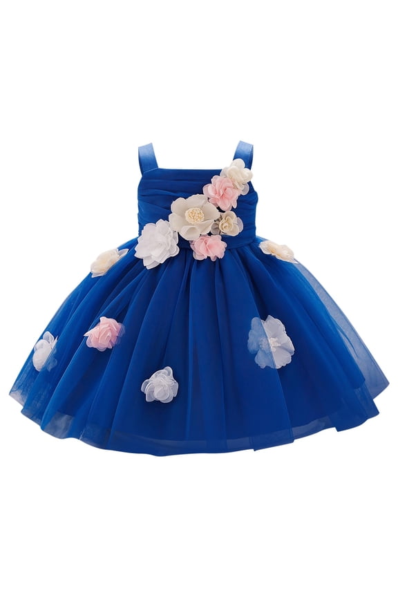 Baby Girl Summer Sleeveless Floral Tulle Princess Dress Birthday Party Dress Flower Girl Dress Puff Dress Blue 9 Months