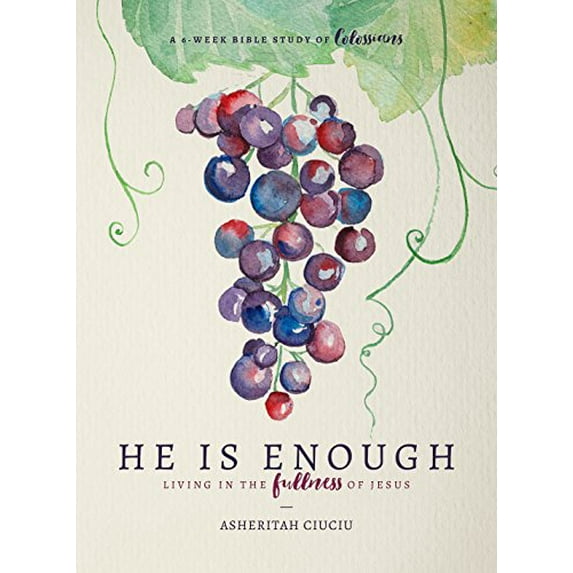 Pre-Owned He Is Enough: Living in the Fullness of Jesus (a Study in Colossians) (Paperback) 0802416861 9780802416865
