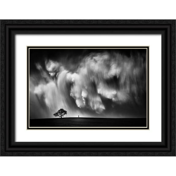 He, Like 24x17 Black Ornate Wood Framed with Double Matting Museum Art Print Titled - Storm Chaser