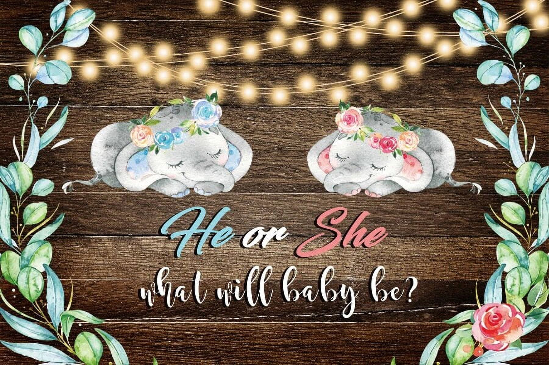He or She Gender Reveal Backdrop Wood Board Pink Blue Bow Tie Flower