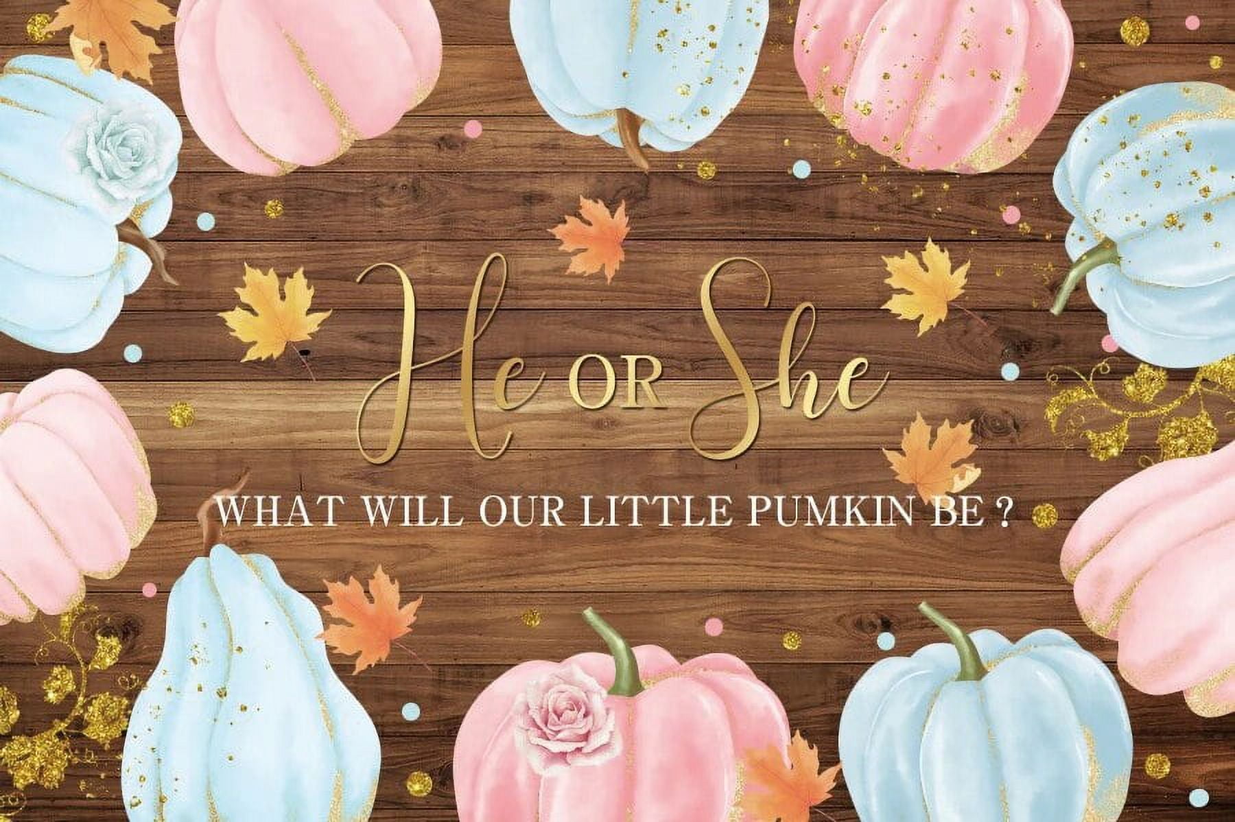 He or She Gender Reveal Backdrop Wood Board Pink Blue Bow Tie Flower