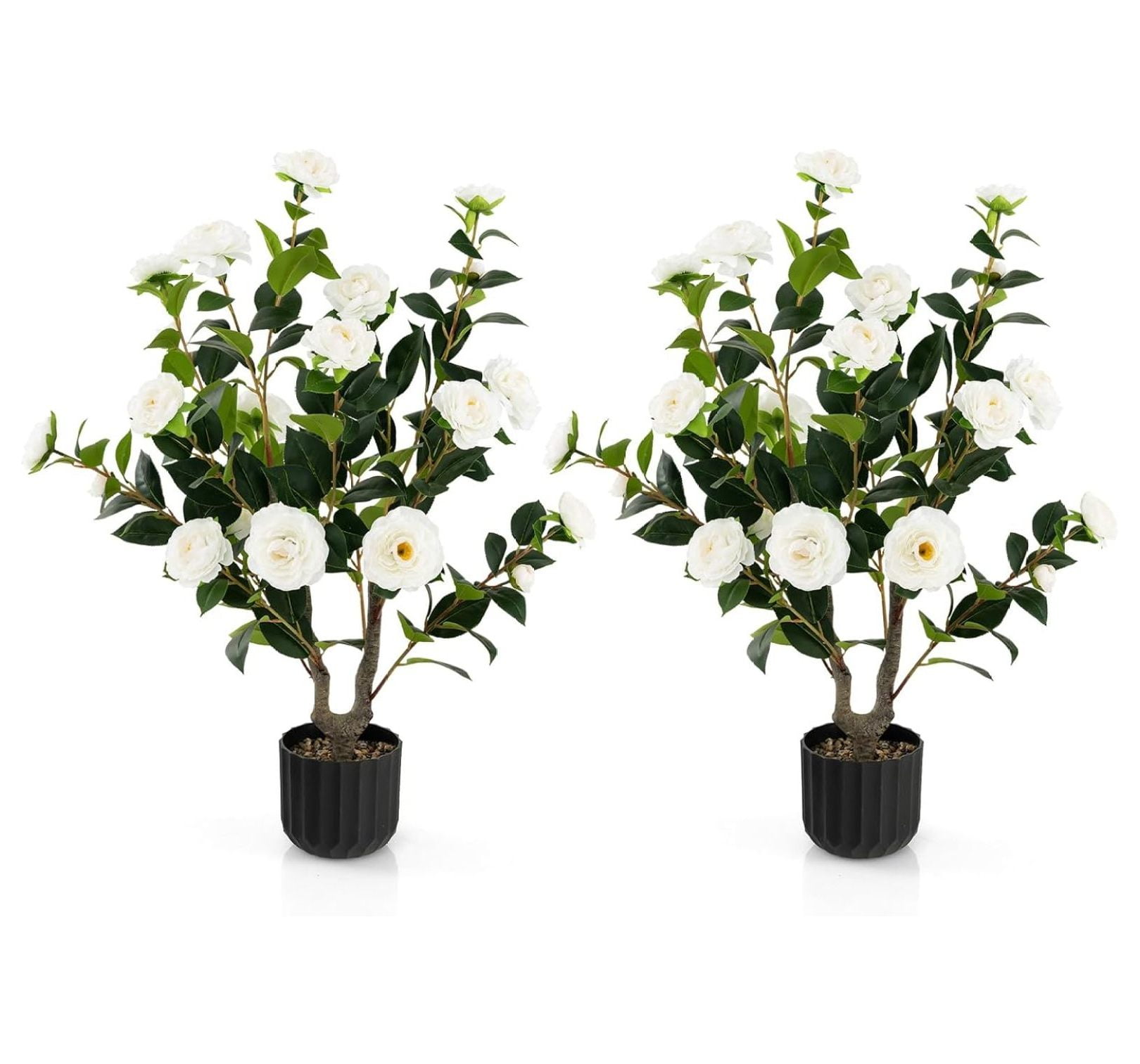 38'' White Silk Camellia Tree in Black Pot, 2-Pack