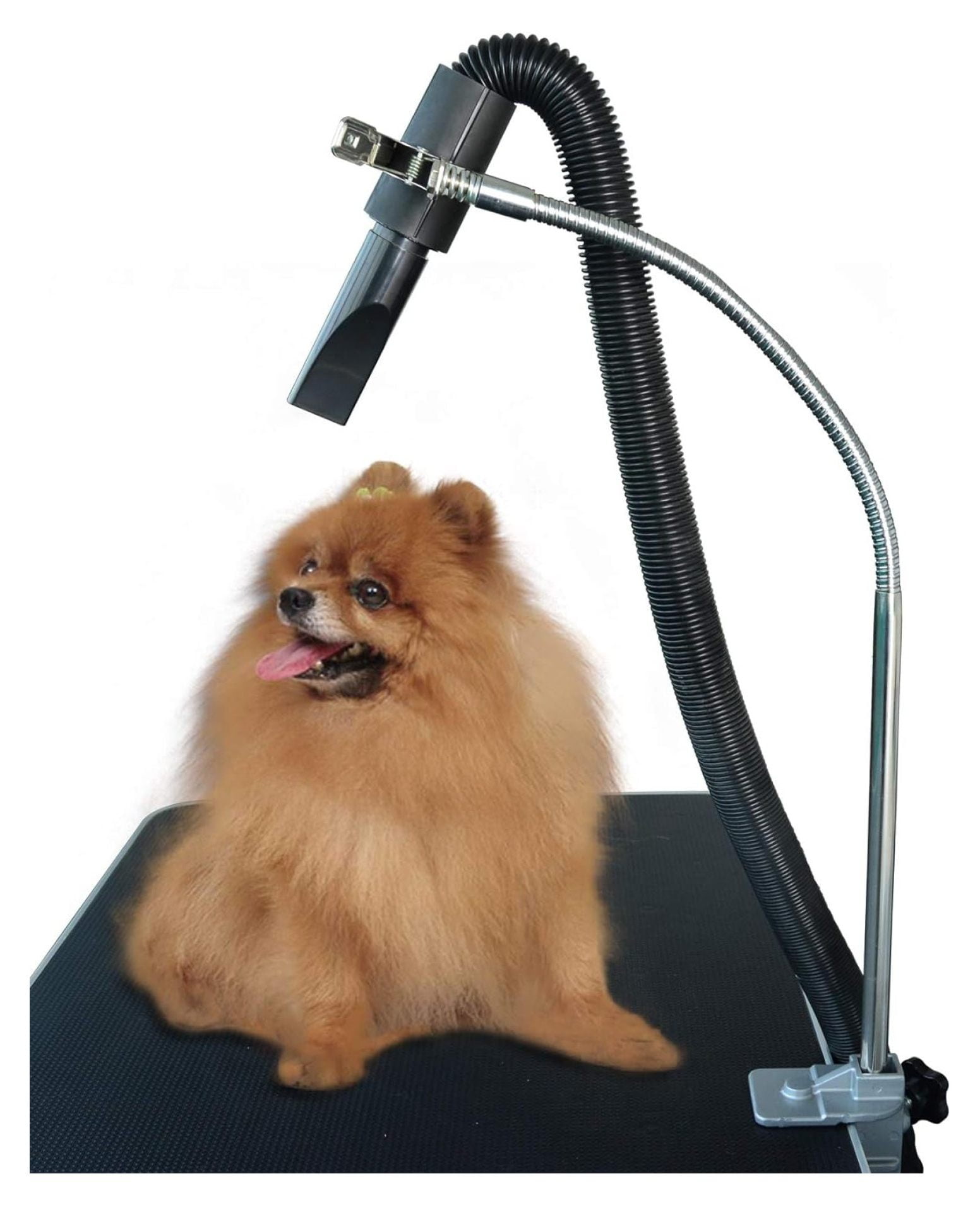 HeSLehs Dog Pet Grooming Table Hair Dryer Stand Hose Tube Holder Hands