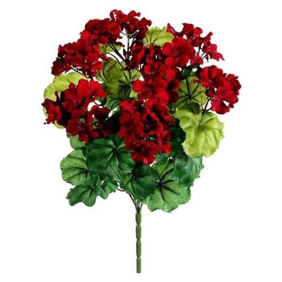 HeSLehs Geranium Bush (Pack of 12)
