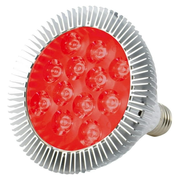 HeSLehs LED Light Bulb for Red Light Therapy, 660nm Deep Red, 24W Class