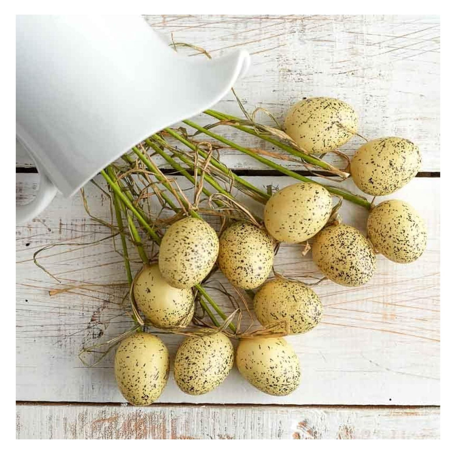 HeSLehs Package of 12 Unique Cream Speckled Eggs and Raffia Stems