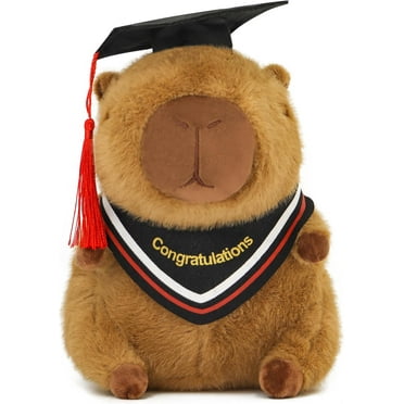 HeaCare Graduation Capybara Plush Toy 7.8 Inch with PhD Hat Cap - Perfect Graduation Gift for Season, Party Favors, Commencement Decorations, and Keepsakes Souvenirs