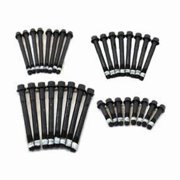 Head Bolt Kit for Chevy BBC 454, Suits PCE Heads 8 Long Bolts