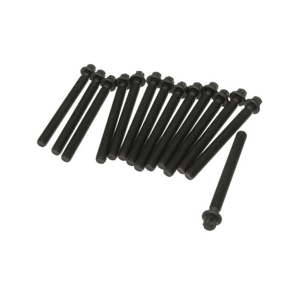 Head Bolt Set - Compatible with 1997 - 1998 BMW 528i